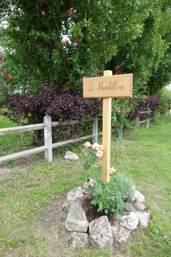 Le Montillon Tour-en-Sologne Exterior photo